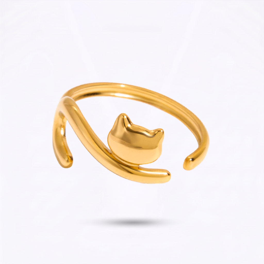 Anillo Michi
