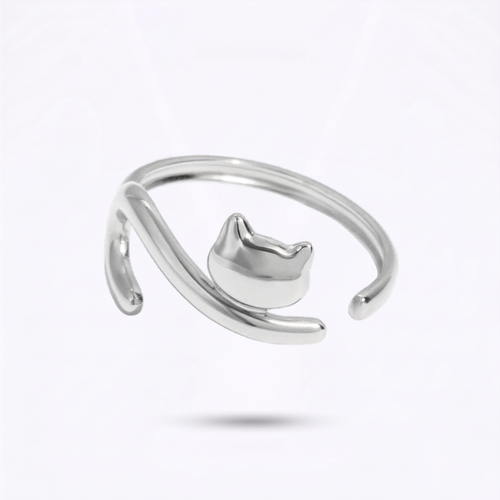 Anillo Michi