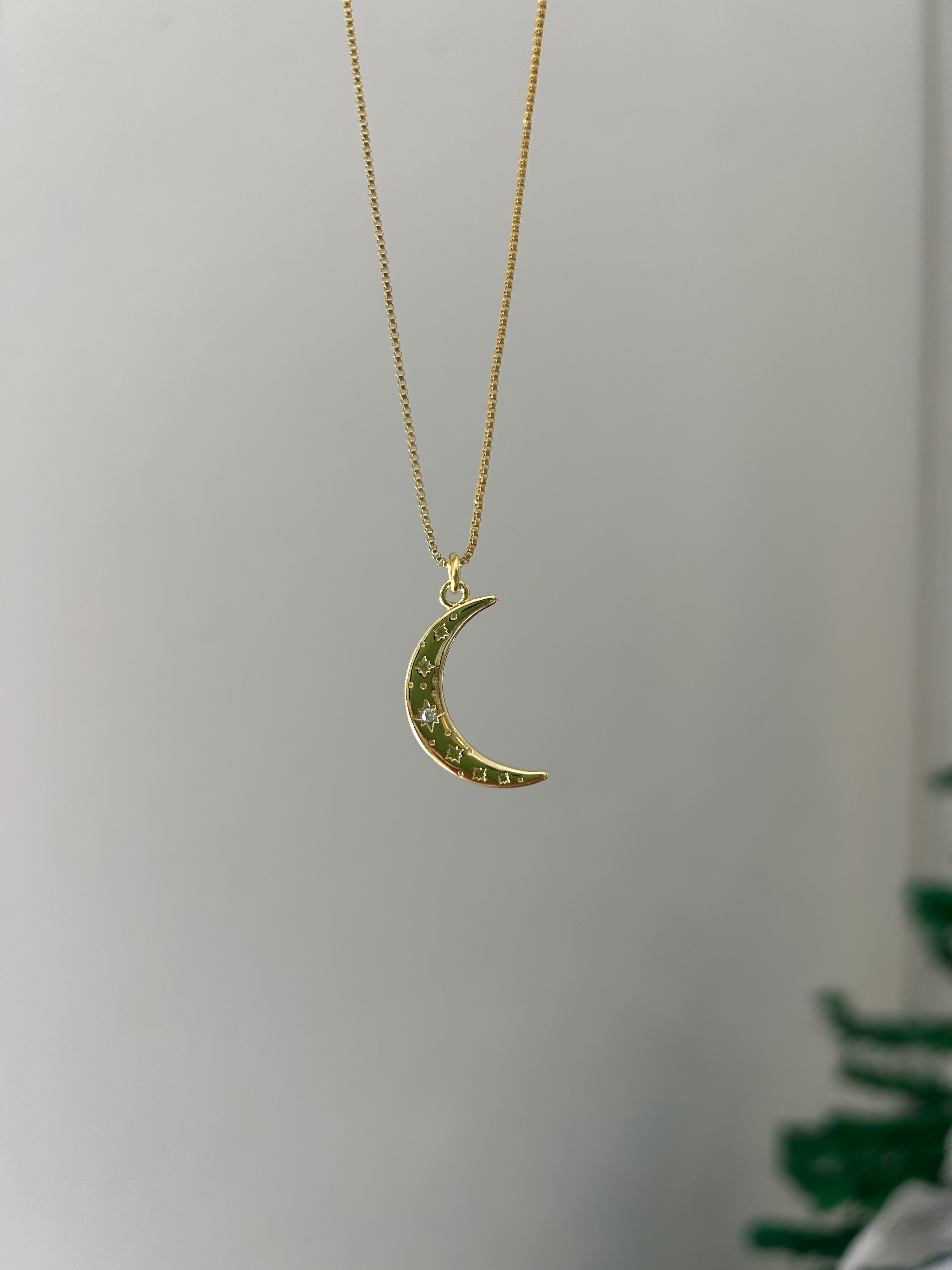 Maxi Luna